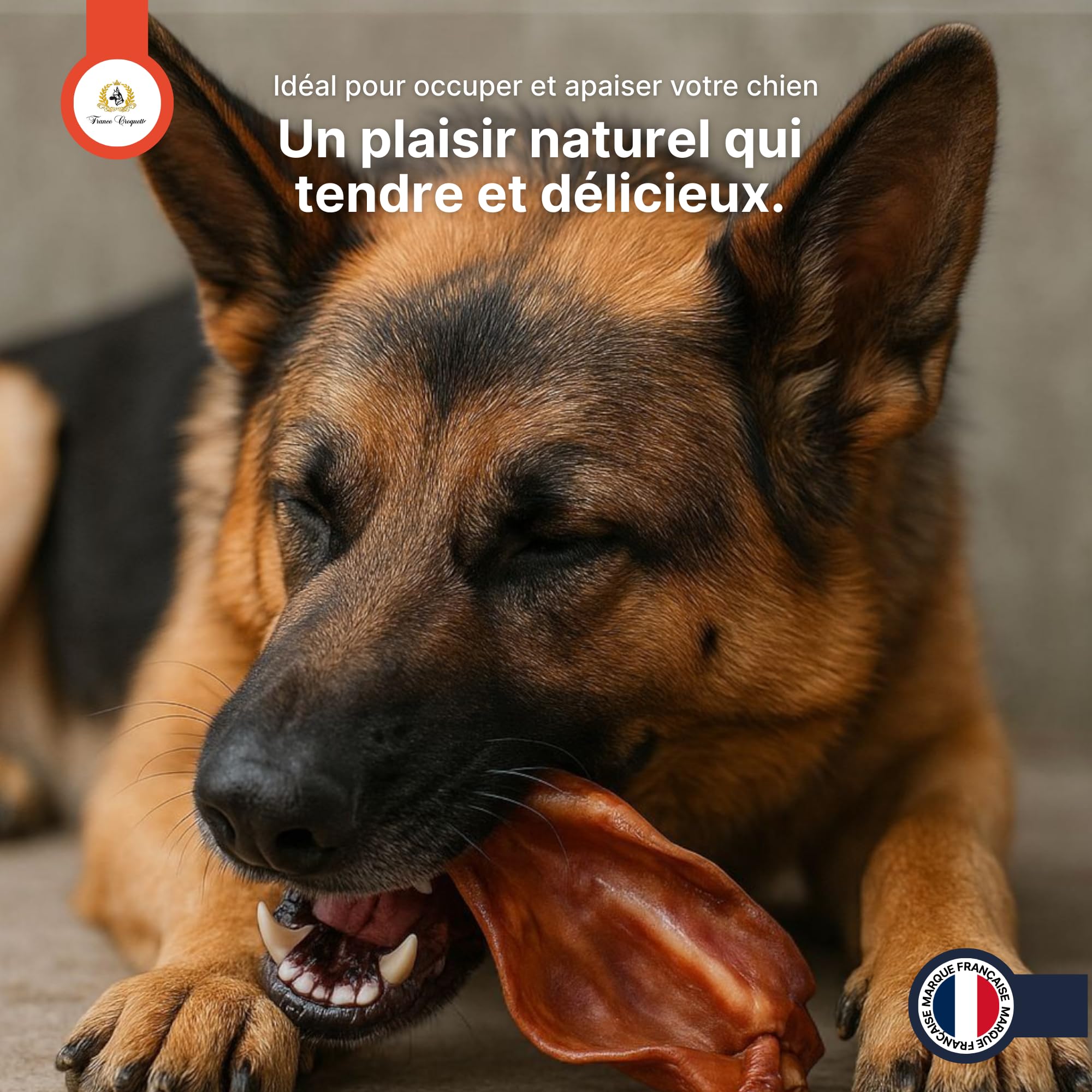 france-croquettes-friandises-oreille-porc-xxl-chien-500g image 8