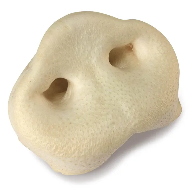 arquivet-friandise-chien-groin-de-porc-s-ch-x20 image 1