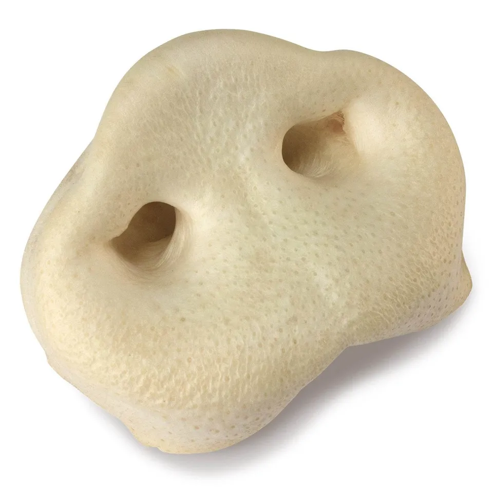 arquivet-friandise-chien-groin-de-porc-s-ch-x20 image 1
