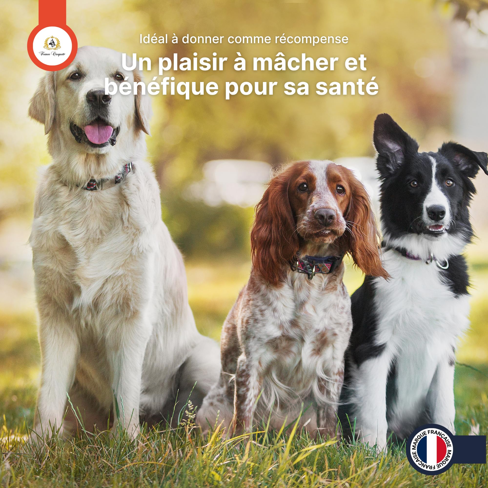 france-croquettes-friandises-pattes-poulet-friandise-chien-500g image 8