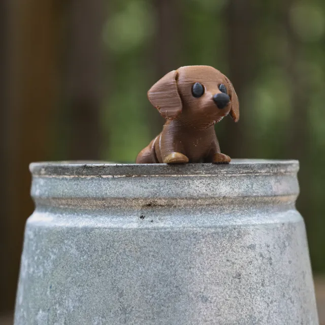 carabidule-bricoles-fidget-animal-articul-3d-collection-bureau image 1