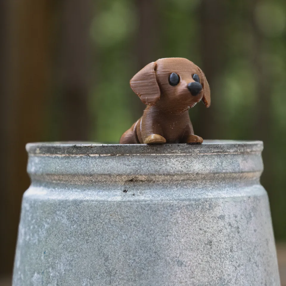 carabidule-bricoles-fidget-animal-articul-3d-collection-bureau image 1