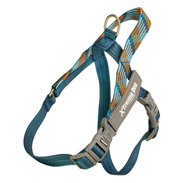 arquivet-xtreme-piemonte-harnais-chien-bleu-r-fl-chissant image 1