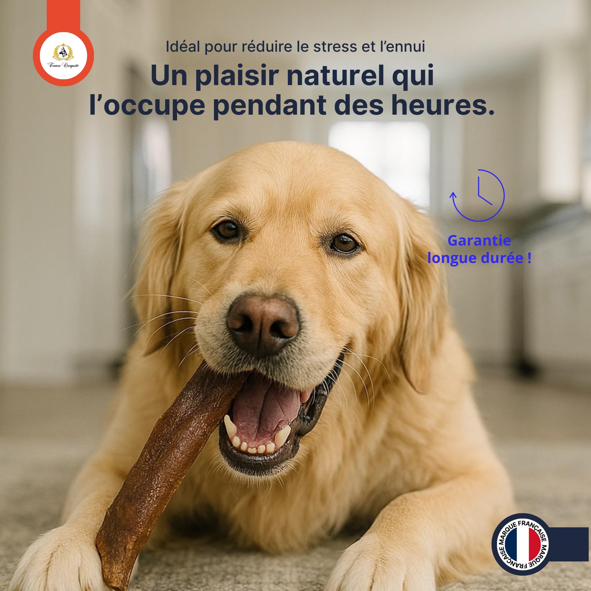 france-croquettes-friandises-peau-chameau-chien-400g-dents image 8