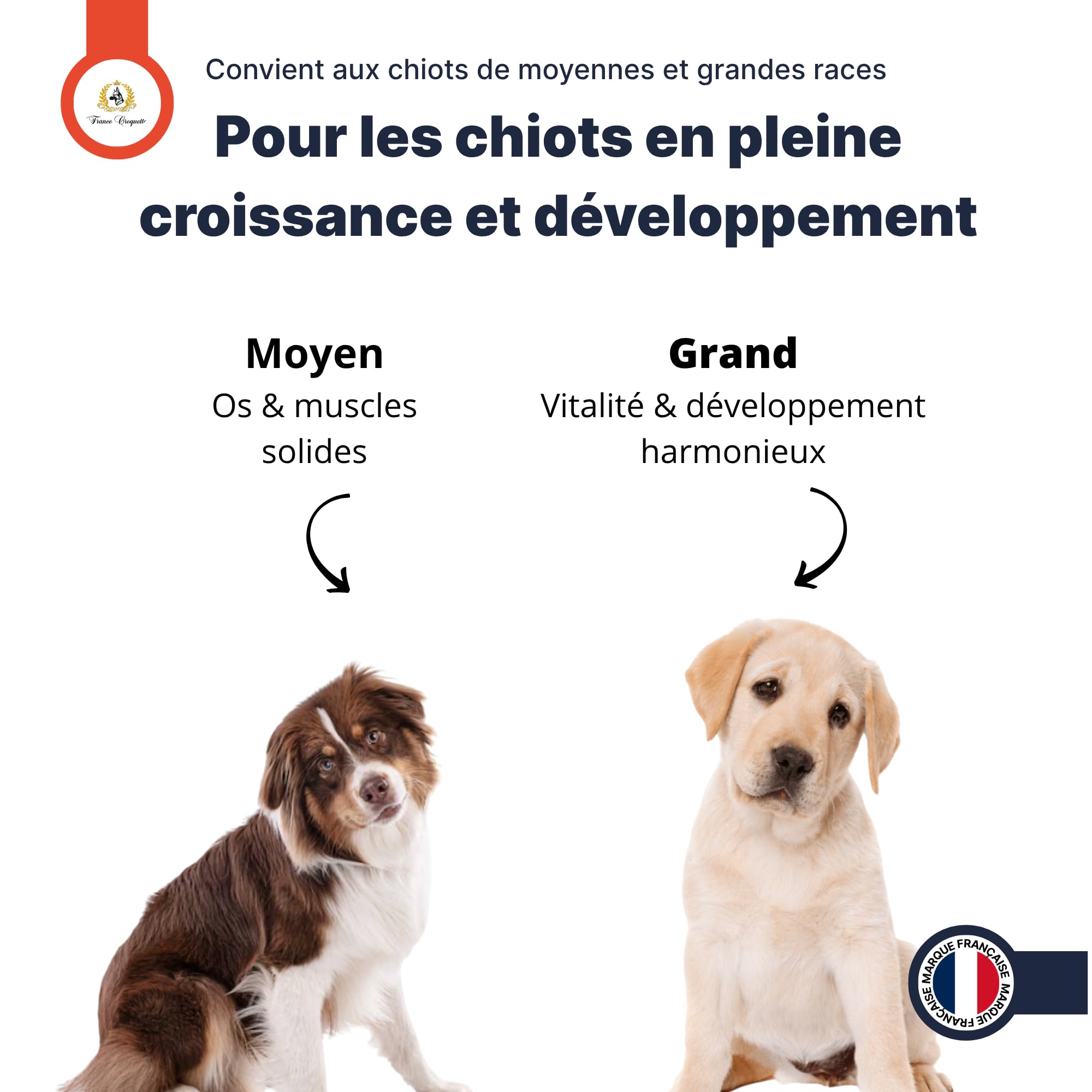 france-croquettes-gold-maxi-chiot-30-15-croquettes-chiot-om-ga-3 image 3