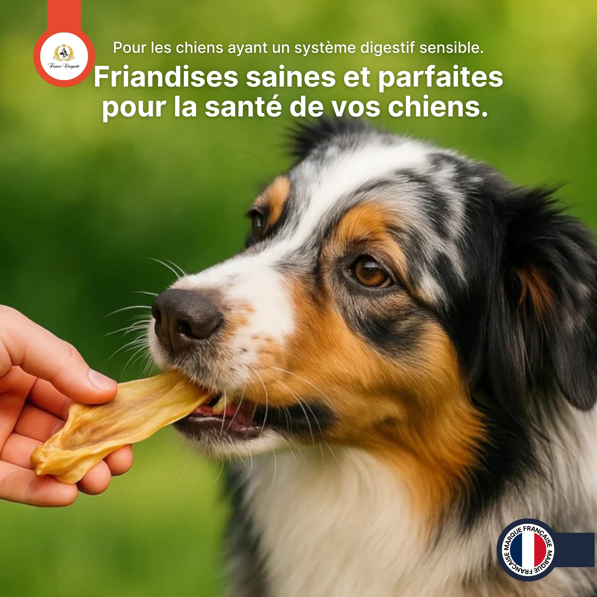 france-croquettes-oreilles-agneau-chien-250g-hypoallerg-nique image 5