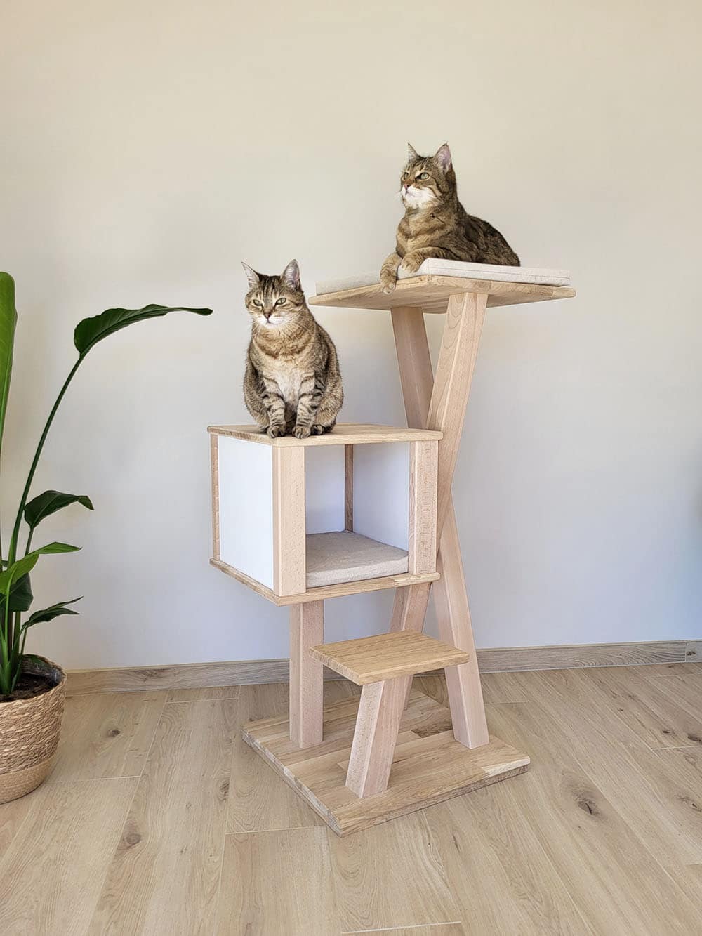 chat-perch-myosotis-arbre-chat-bois-avec-cabane image 2