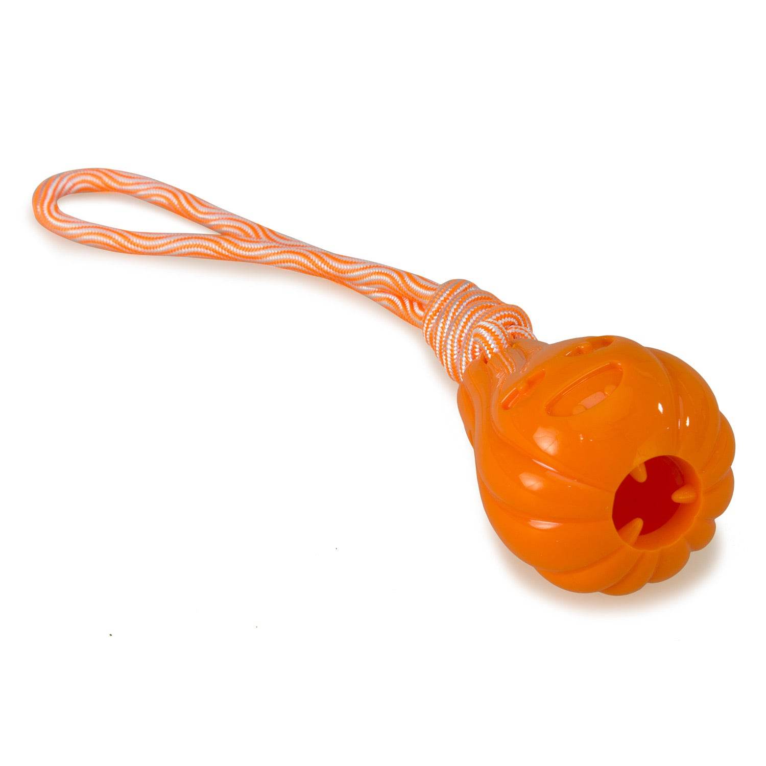 arquivet-pumpkin-jouet-chien-citrouille-corde-friandises image 3