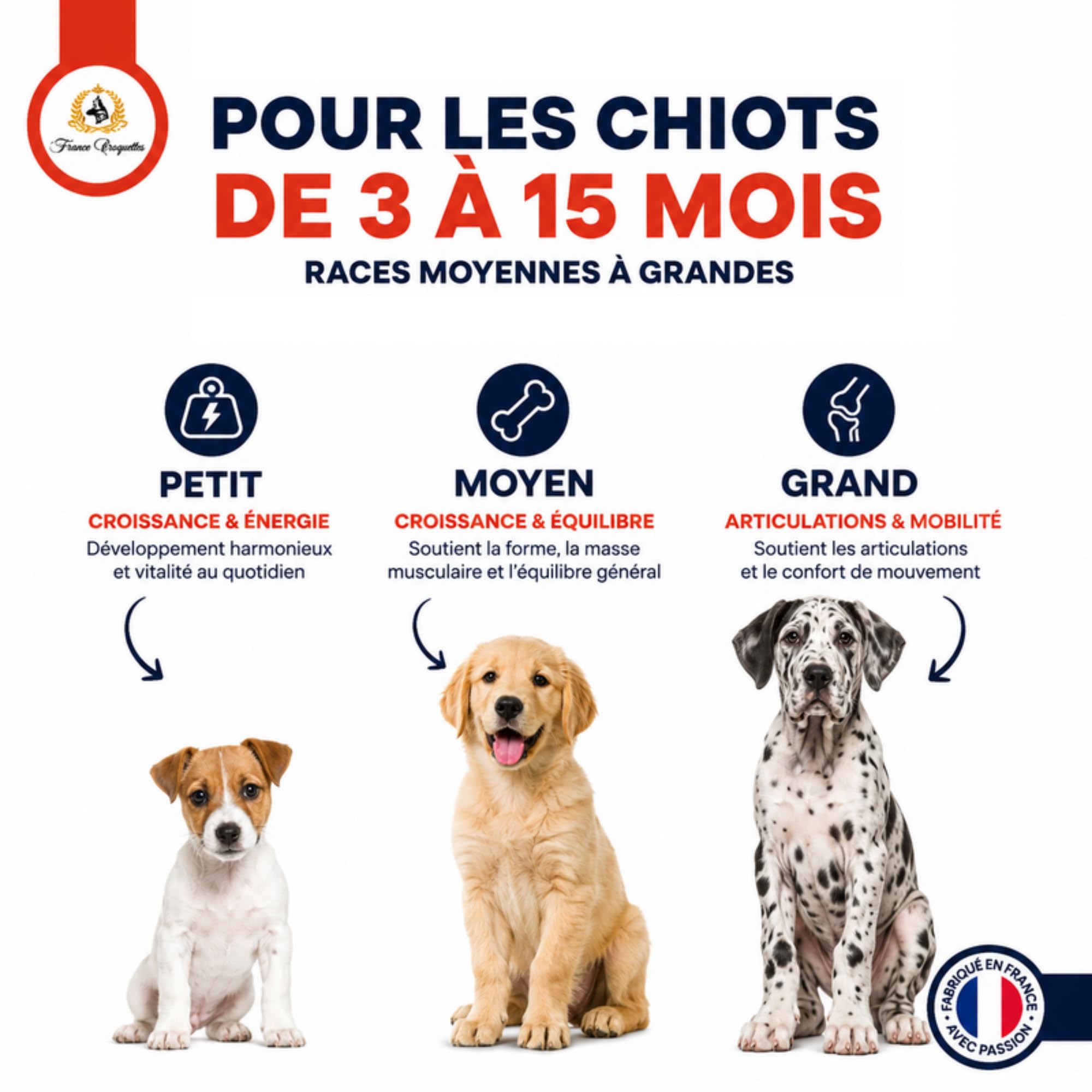 france-croquettes-gold-maxi-30-15-croquettes-chiot-20kg-croissance image 4