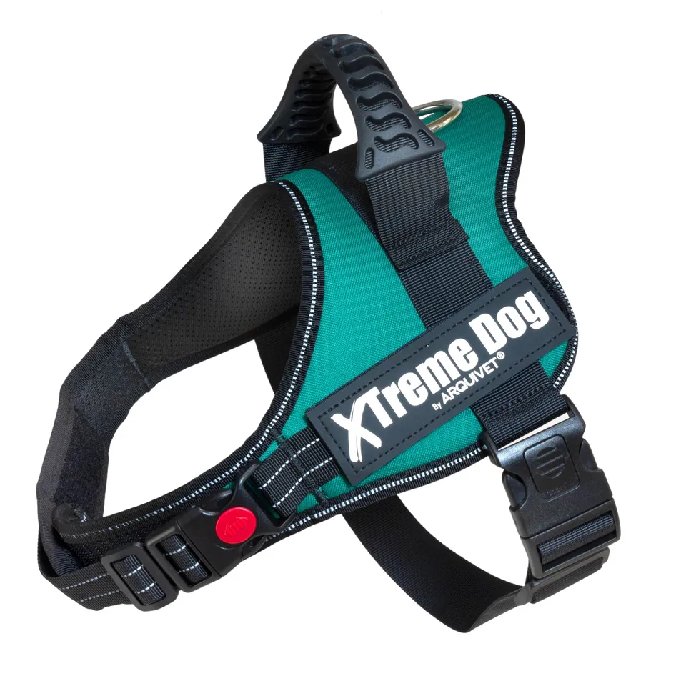 arquivet-xtreme-harnais-chien-vert-meraude-m-61-81-cm image 1