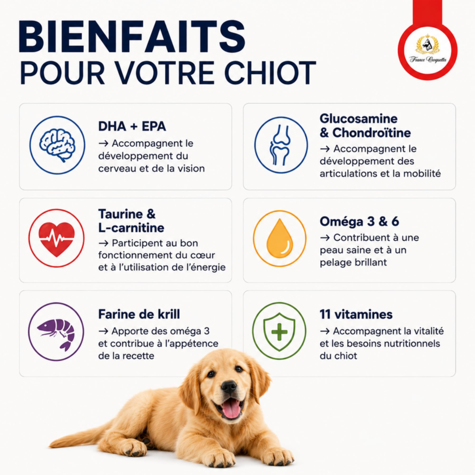 france-croquettes-gold-maxi-30-15-croquettes-chiot-20kg-croissance image 3