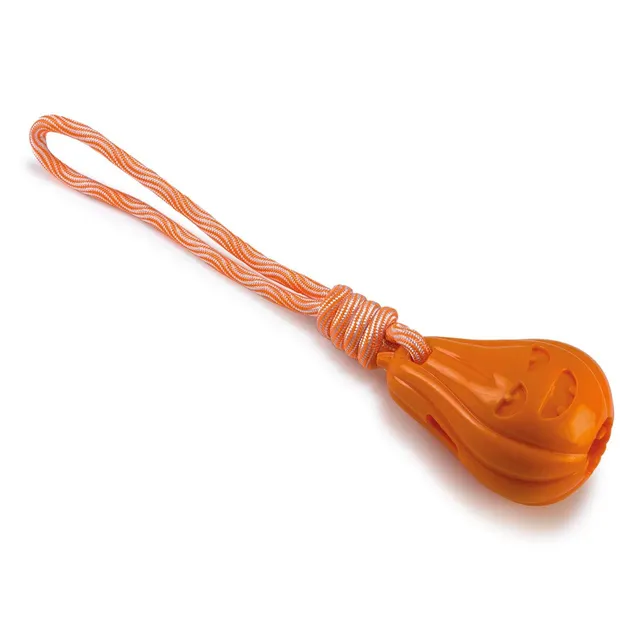 arquivet-pumpkin-jouet-chien-citrouille-corde-friandises image 1