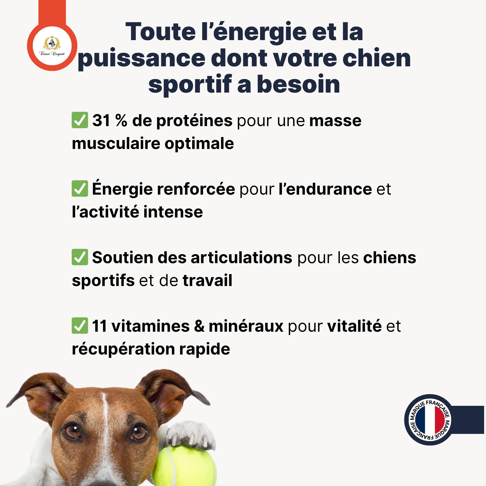 france-croquettes-sport-pro-31-14-croquettes-chien-sport-4-kg image 4