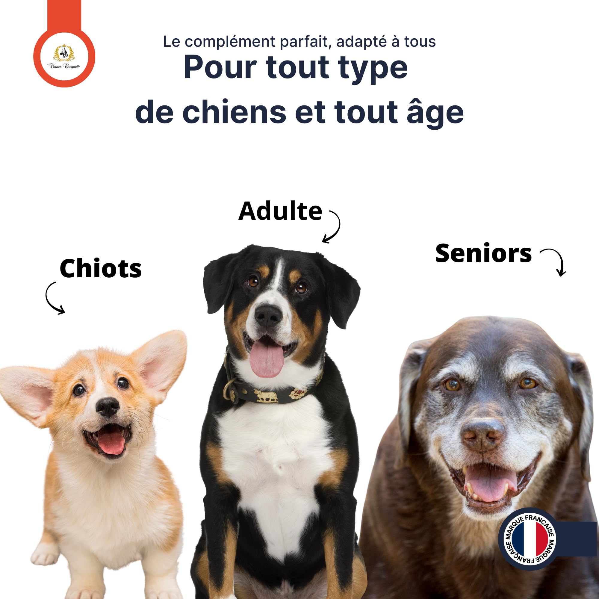 france-croquettes-x8-compl-ment-chien-poudre-500-g image 7