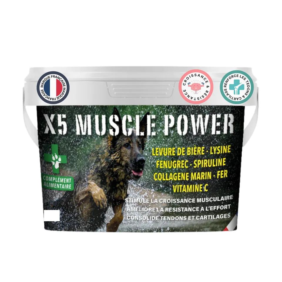 france-croquettes-x5-muscle-power-poudre-chien-500g-muscles image 1