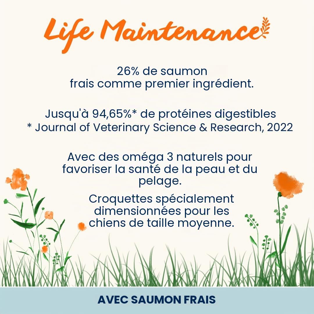 almo-nature-holistic-adult-croquettes-chien-saumon-frais-12-kg image 2
