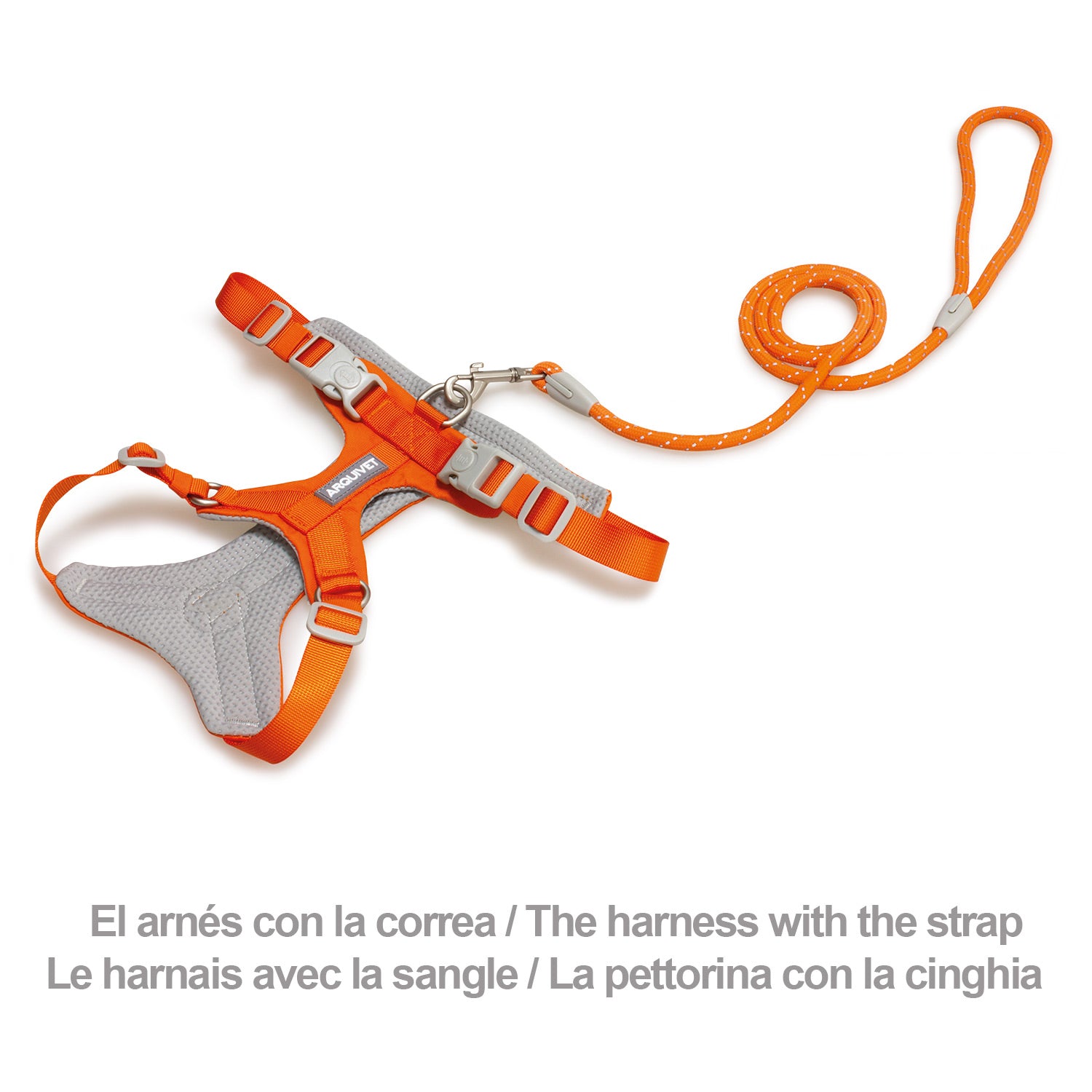 arquivet-roma-light-harnais-chien-orange-xs-30-42-cm image 3