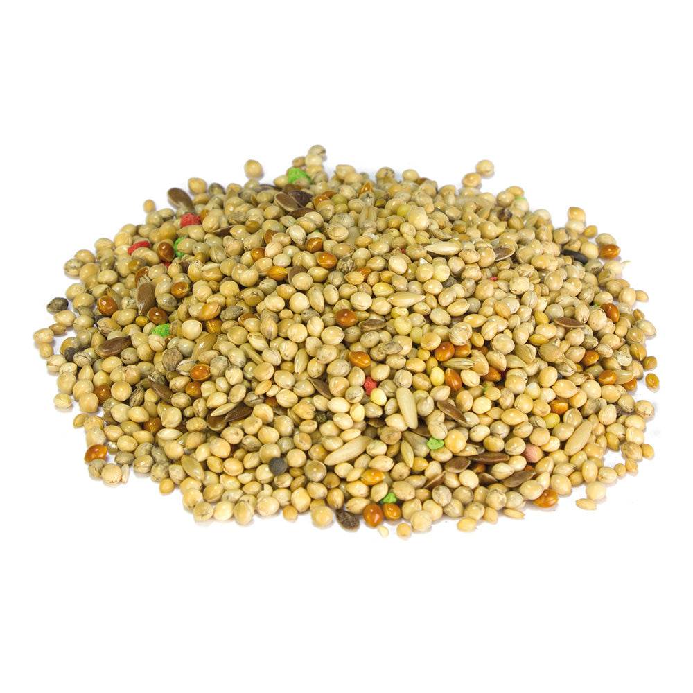 arquivet-m-lange-exotique-nourriture-oiseaux-1-kg-graines image 2