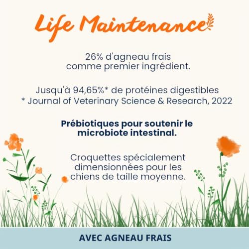 almo-nature-holistic-adult-m-croquettes-chien-agneau-12-kg image 6