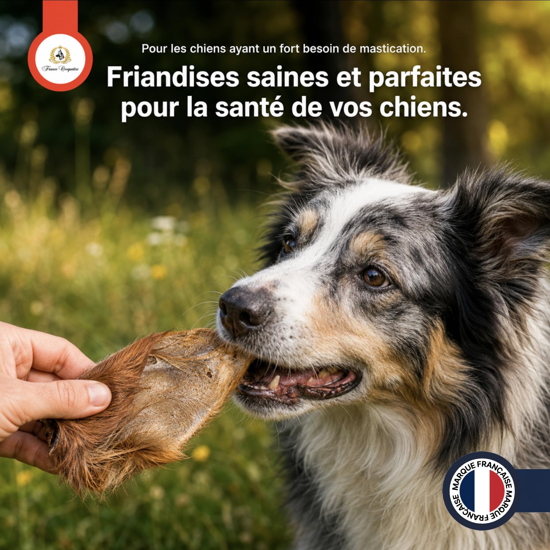 france-croquettes-les-poilus-oreilles-de-b-uf-friandise-500-g image 7