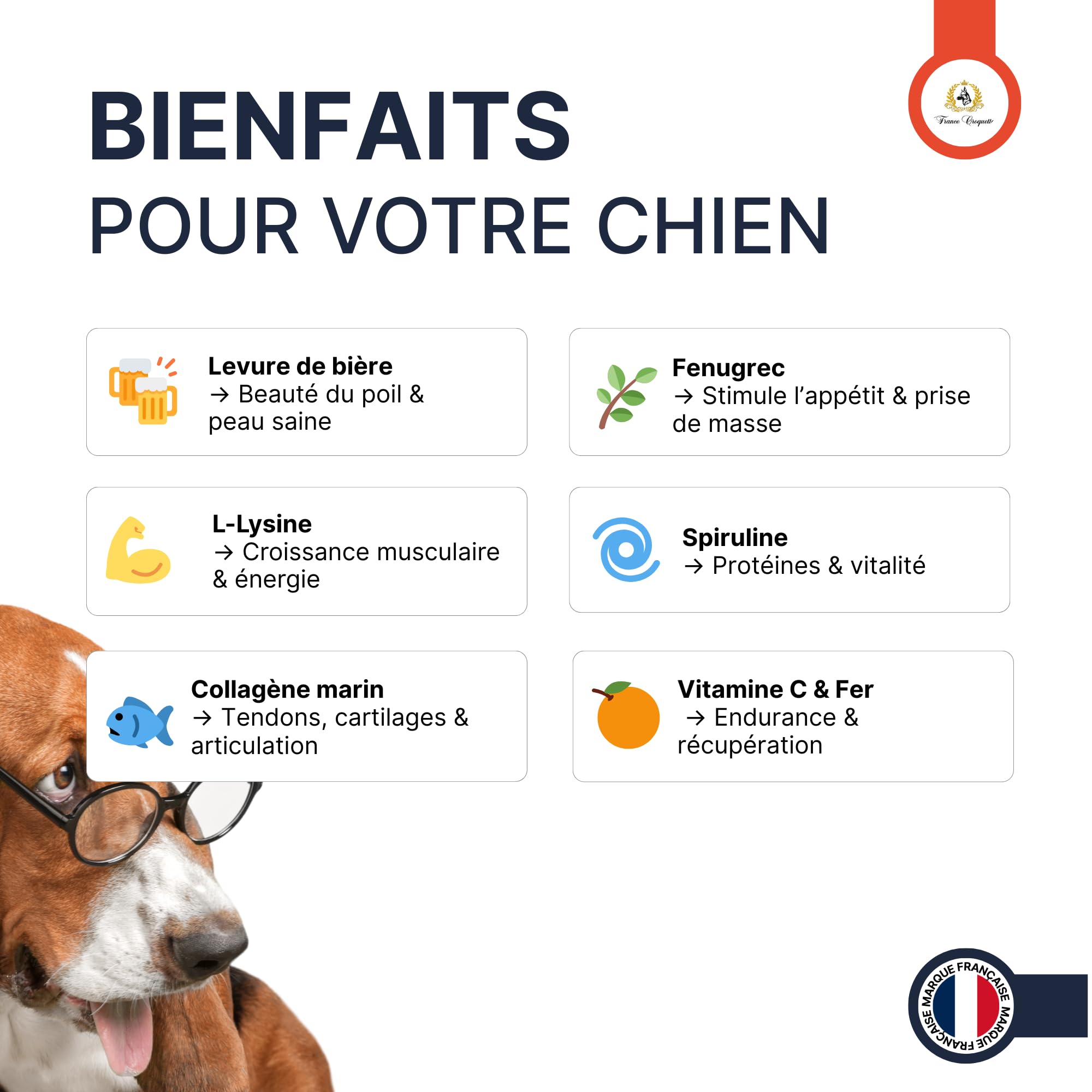 france-croquettes-x5-muscle-power-poudre-chien-500g-muscles image 2