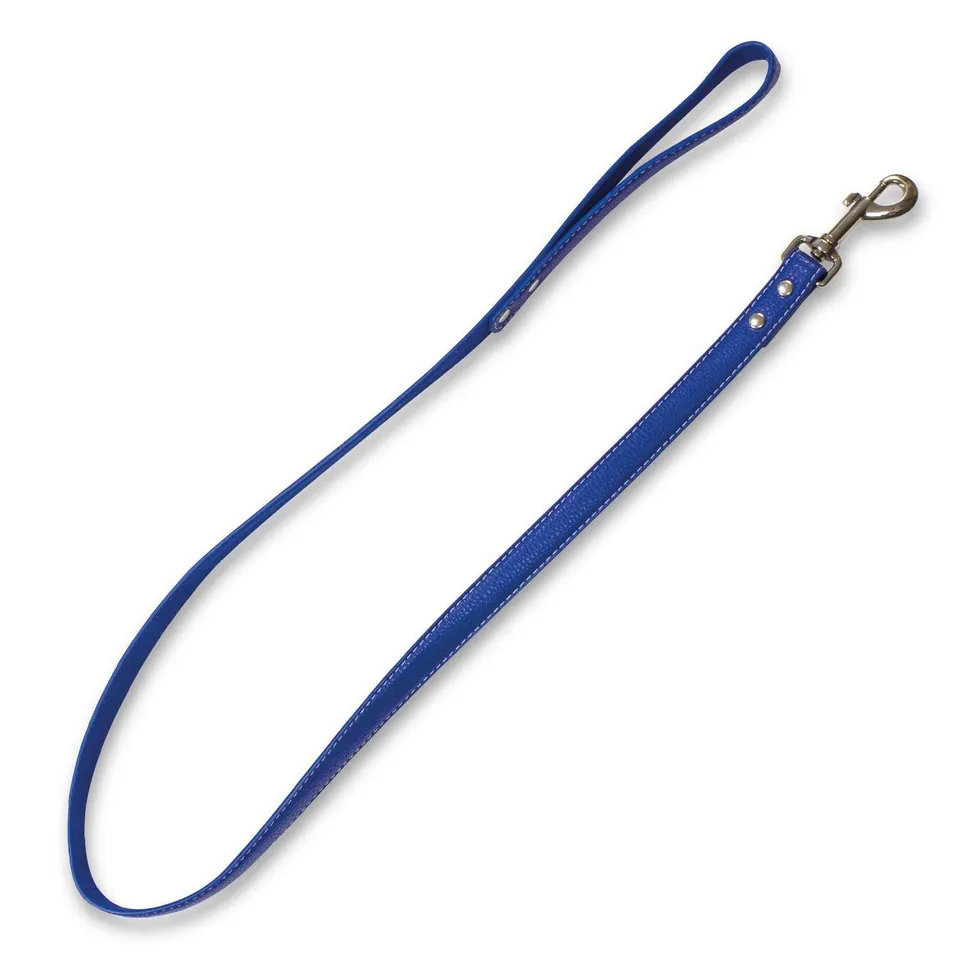 arquivet-laisse-cuir-chien-bleue-clous-os-120-cm image 1
