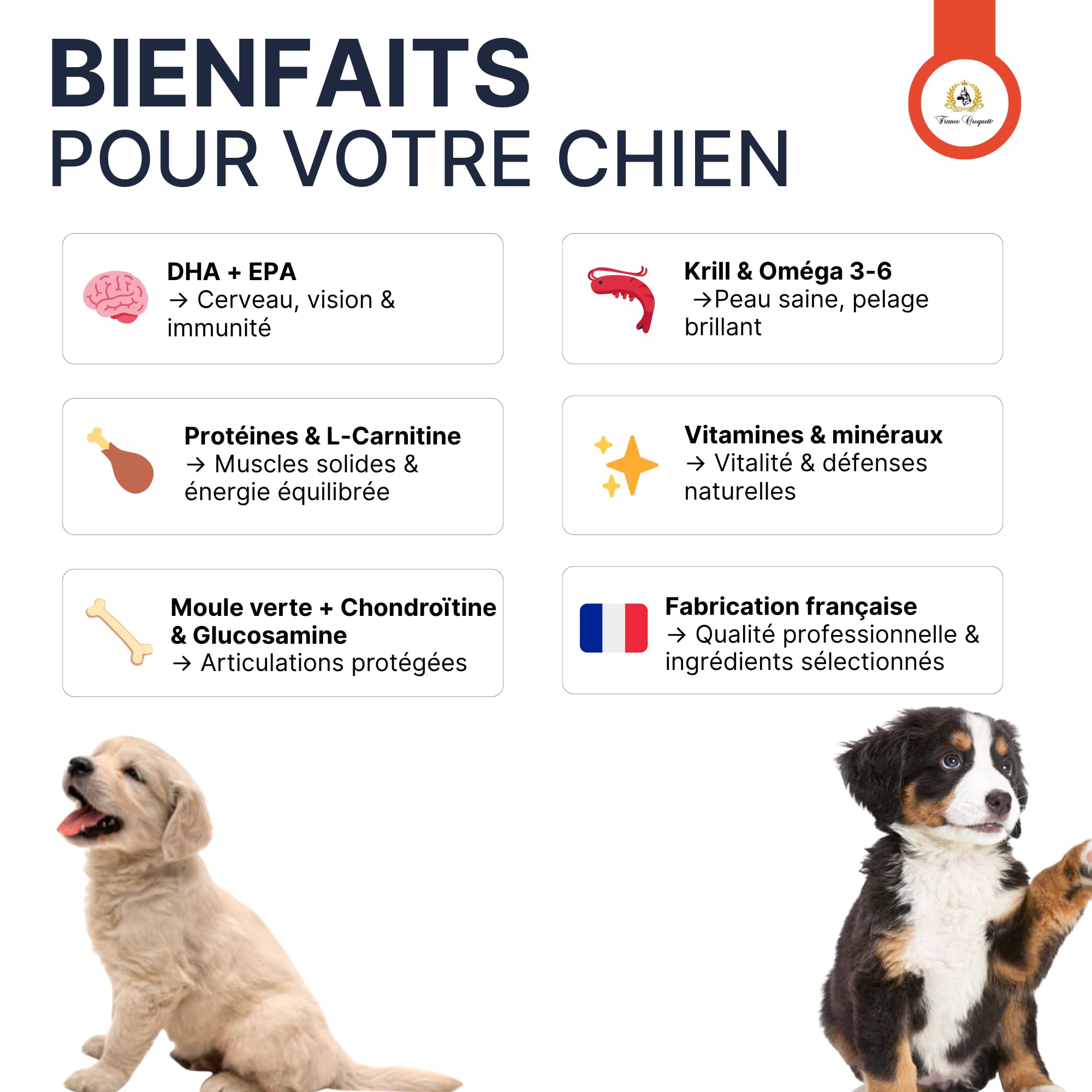 france-croquettes-gold-maxi-chiot-30-15-croquettes-chiot-om-ga-3 image 6