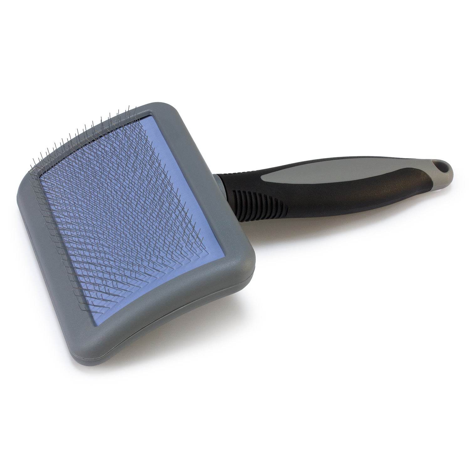 arquivet-carde-brosse-chien-picots-m-tal-16x6-5-cm-douce image 3