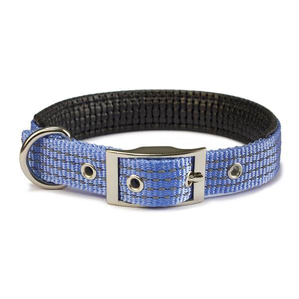 arquivet-collier-nylon-chien-bleu-1-5x38-cm-rembourr image 2