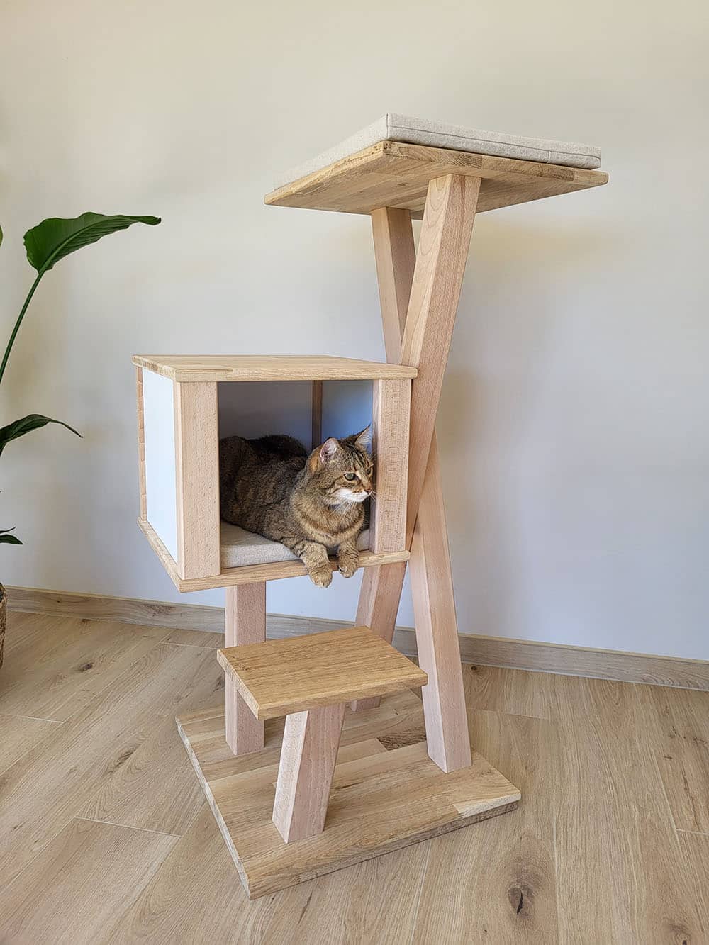 chat-perch-myosotis-arbre-chat-bois-avec-cabane image 1