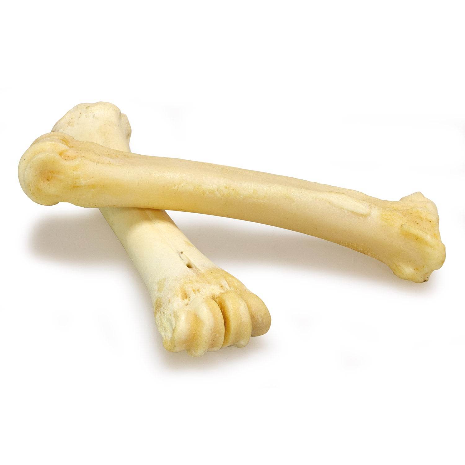 arquivet-buffalo-calcium-bones-friandise-chien-18-25-cm-16-pcs image 2