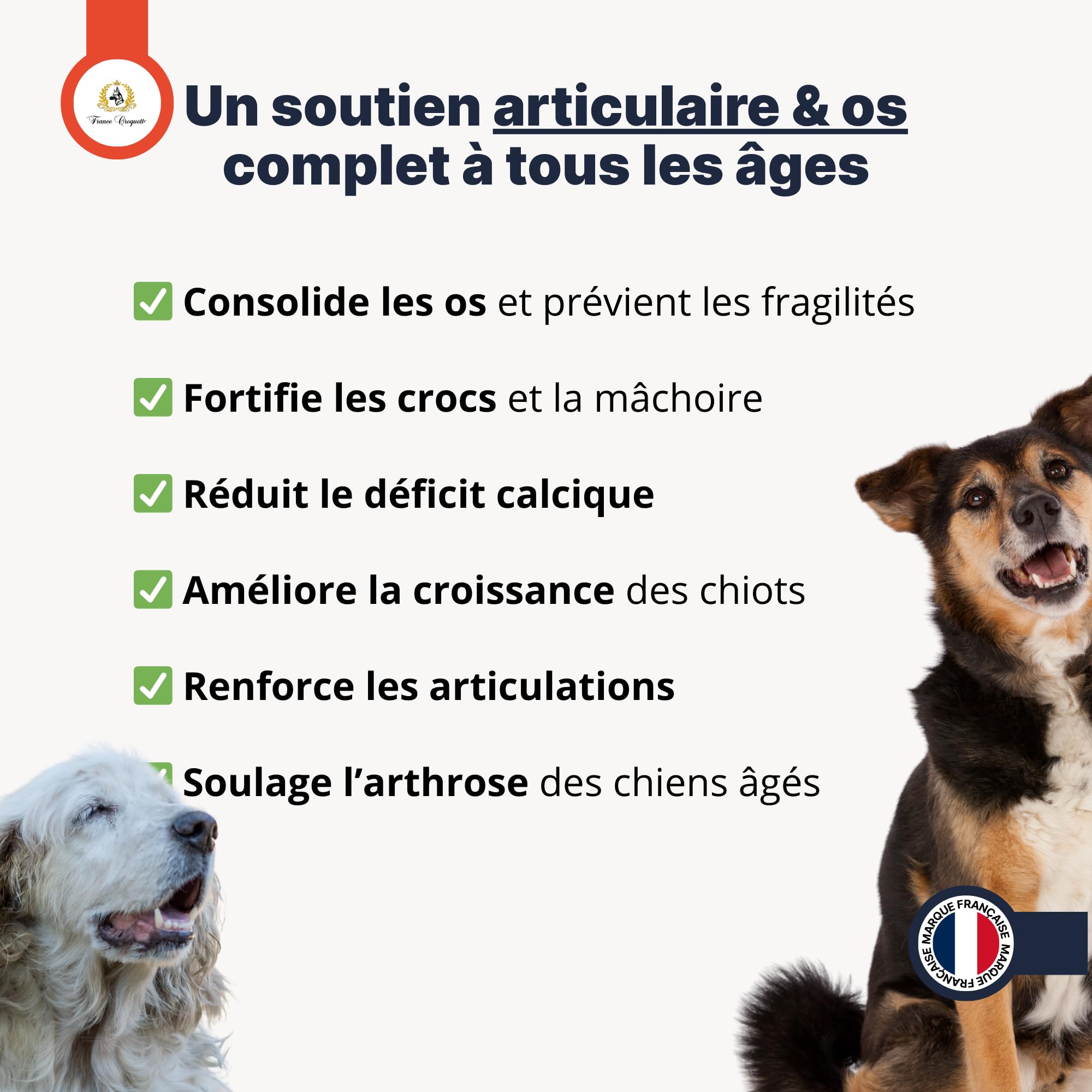 france-croquettes-ost-ocynoline-calcium-poudre-chien-400g image 4