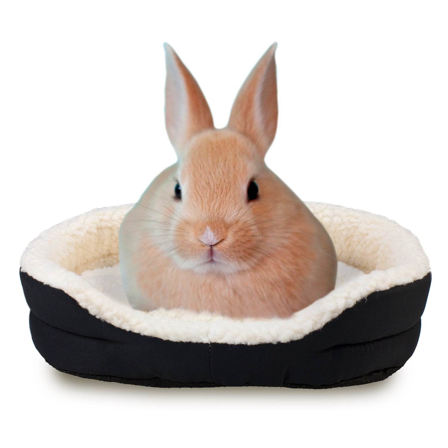 arquivet-couchage-rongeur-lit-peluche-40x24x12-cm image 5