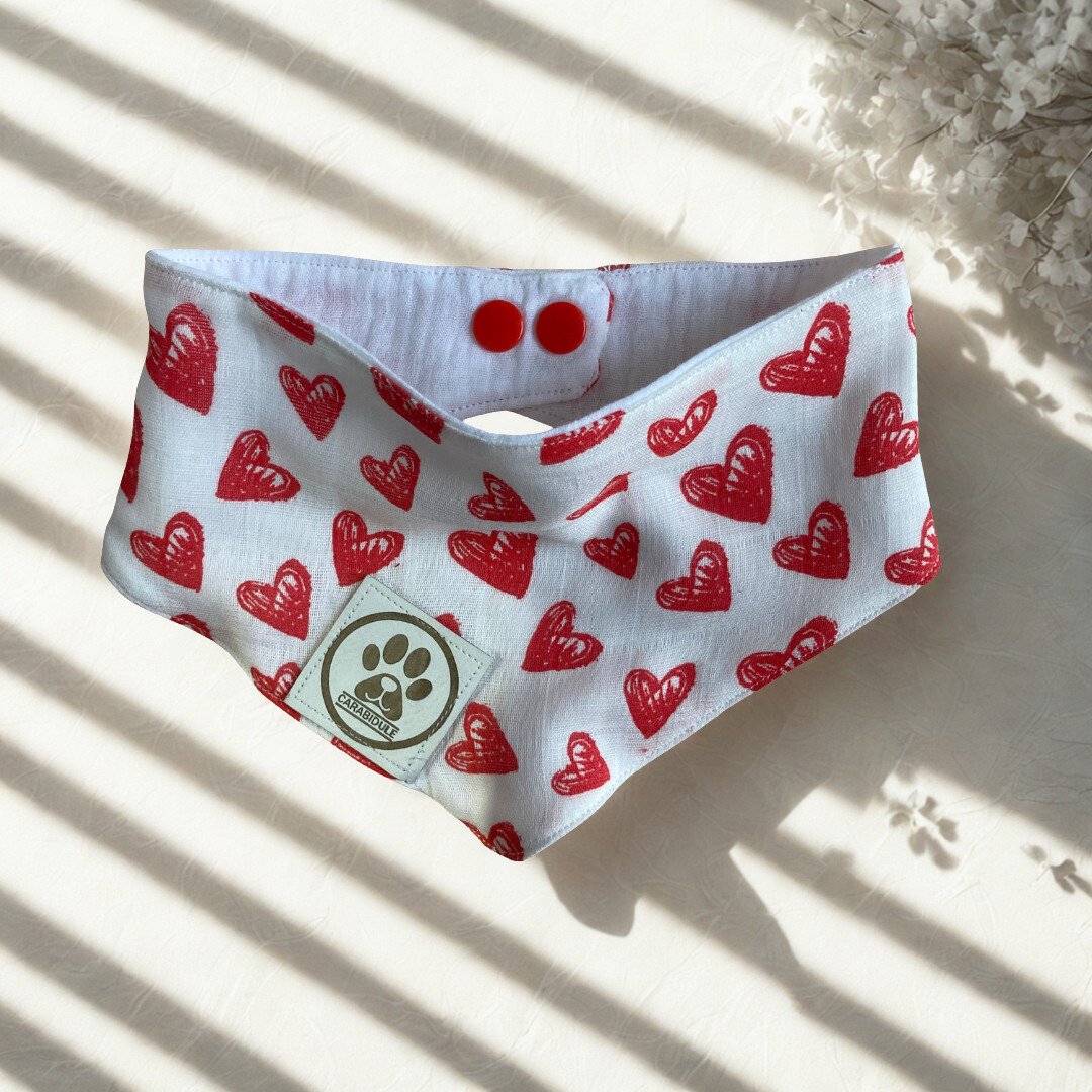 carabidule-bandana-love-chien-coton-taille-m-limit image 1