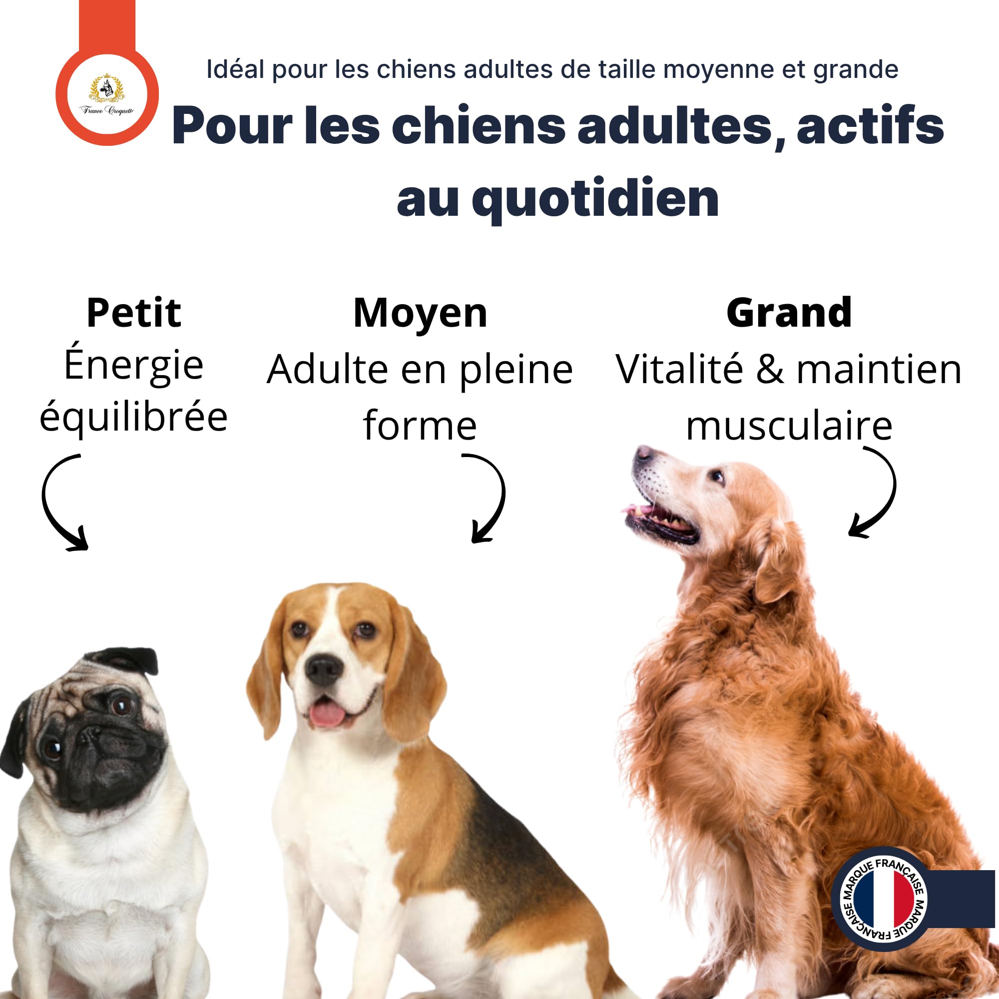 france-croquettes-equilibre-25-10-croquettes-chien-12-kg-adulte image 7