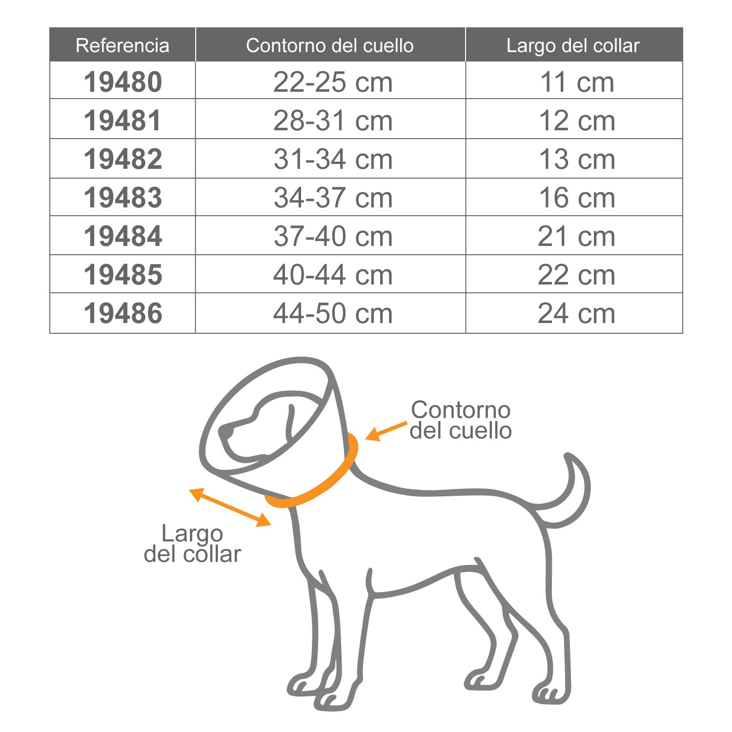 arquivet-collier-lisab-thain-chien-plastique-22-25x11-cm image 2