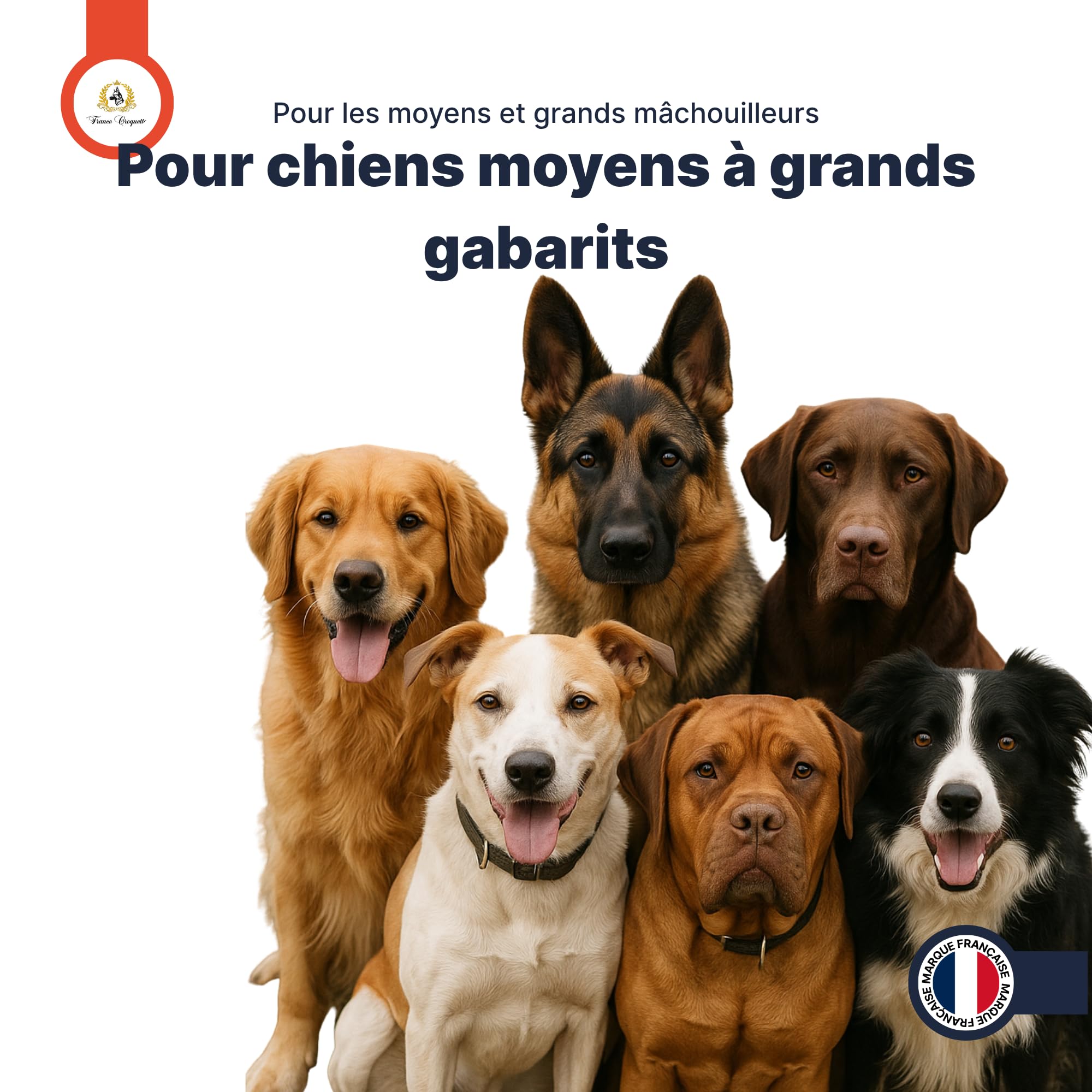 france-croquettes-friandise-chien-nez-porc-x20-mastication-longue image 8