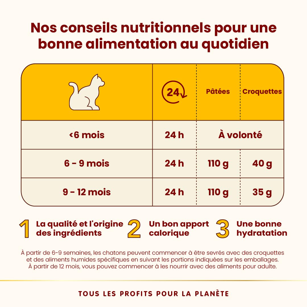 almo-nature-hfc-kitten-poulet-p-t-e-chaton-24x70g image 4