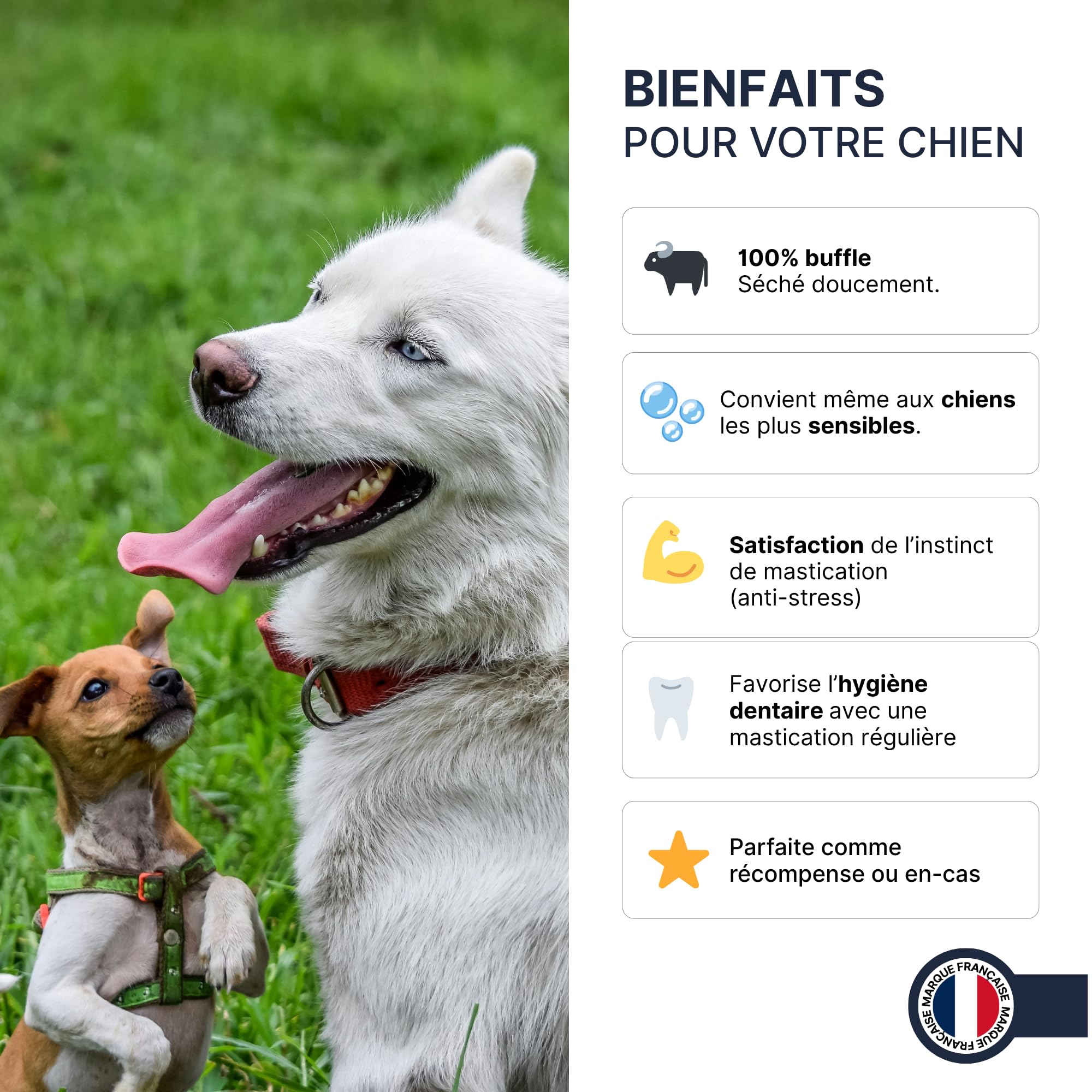 france-croquettes-friandises-b-tonnets-buffle-300g-chiot-senior image 8