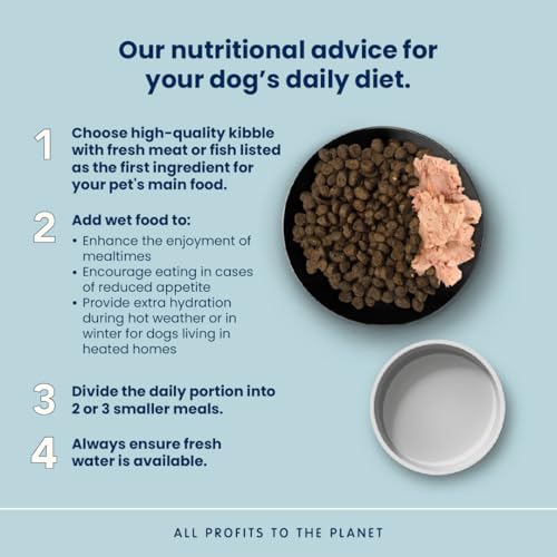 almo-nature-holistic-adult-croquettes-boeuf-chien-moyen-12kg image 7