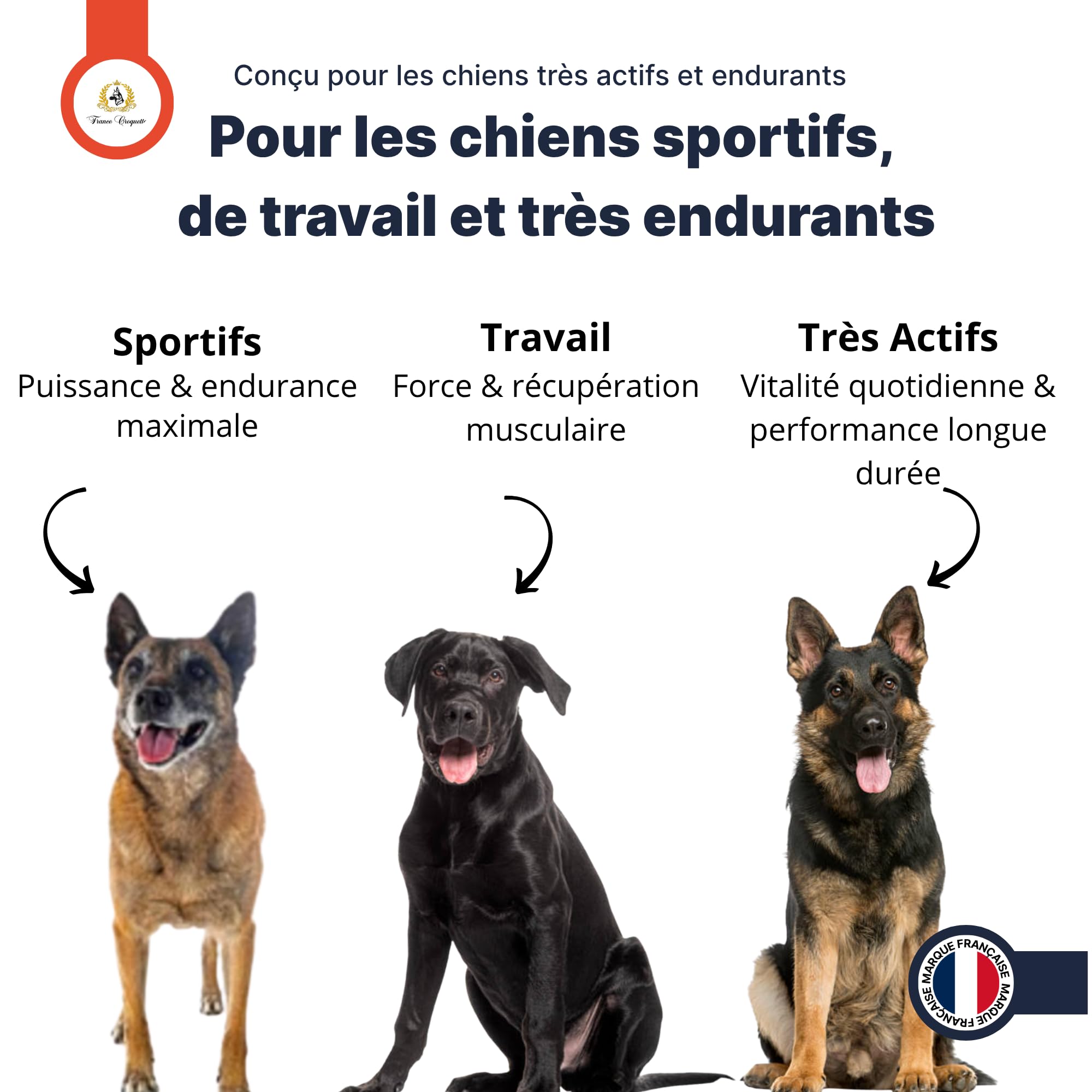 france-croquettes-gold-sport-energy-32-16-croquettes-chien image 3