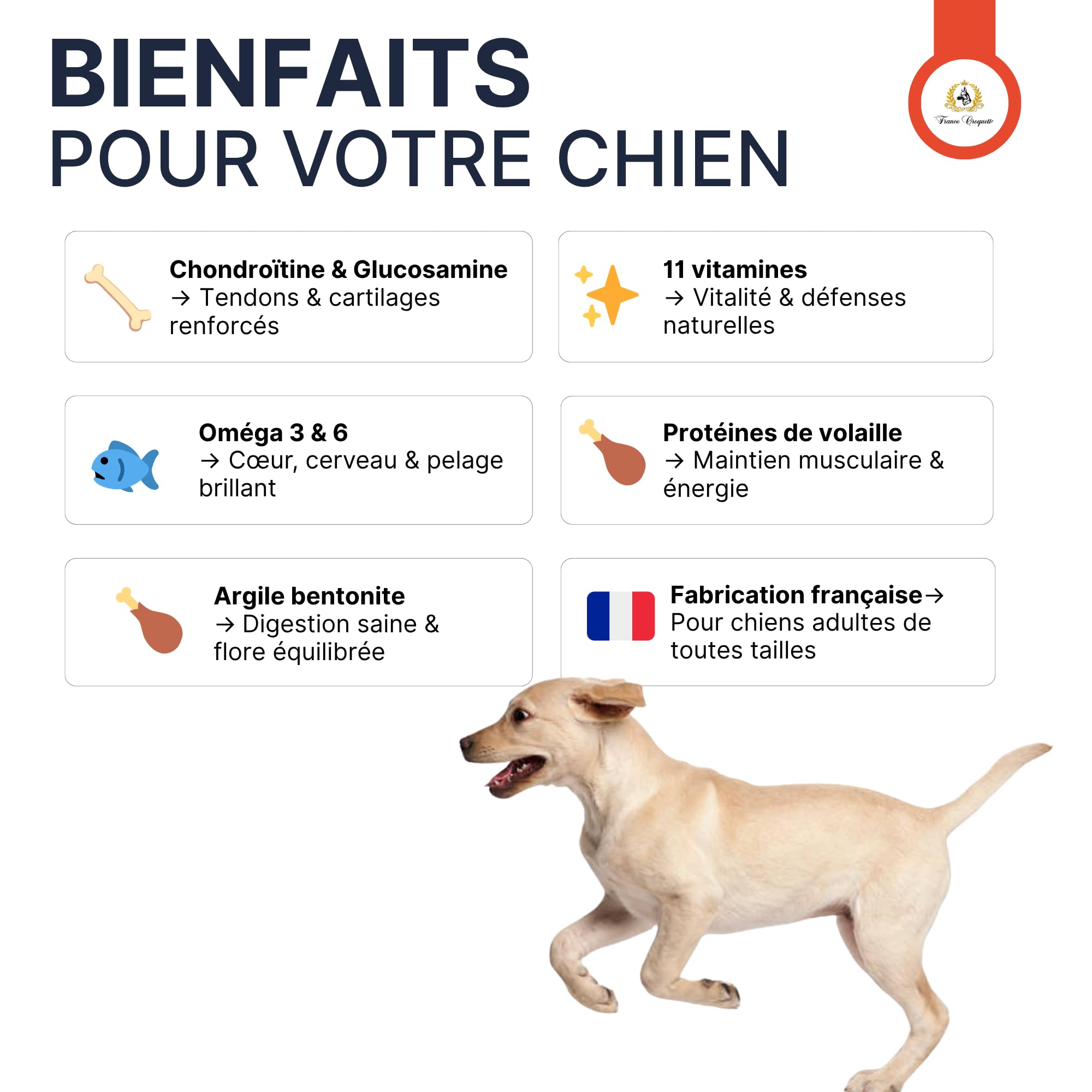france-croquettes-gold-premium-28-16-croquettes-chien-adulte image 5