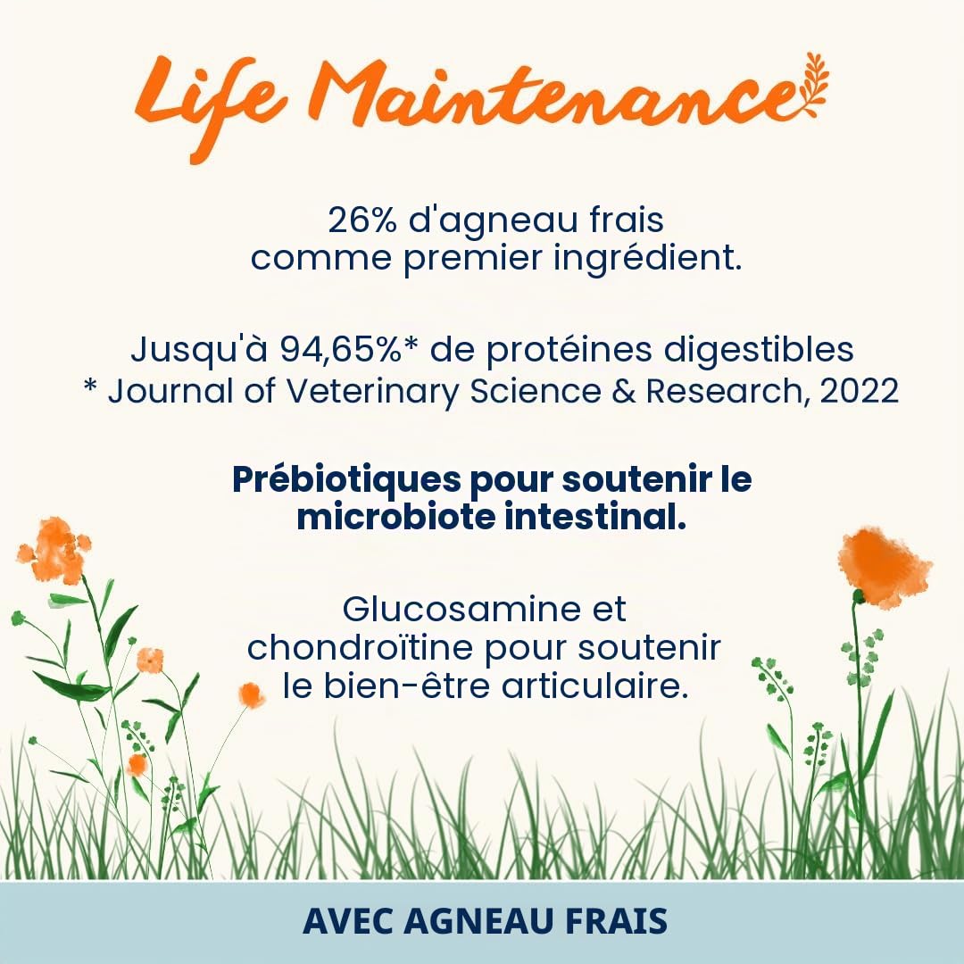 almo-nature-life-maintenance-croquettes-chien-agneau-12-kg image 2