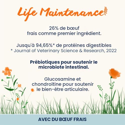 almo-nature-holistic-adult-croquettes-chien-boeuf-12-kg image 6