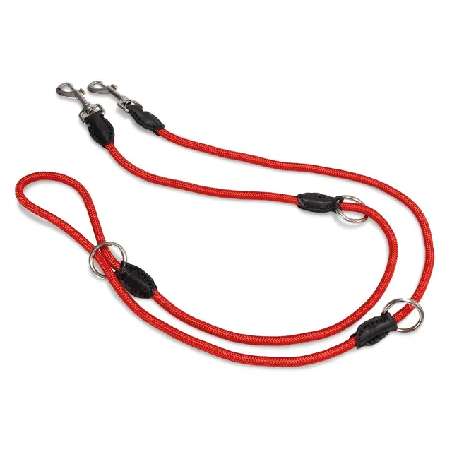 arquivet-laisse-chien-3-positions-rouge-200-cm image 1
