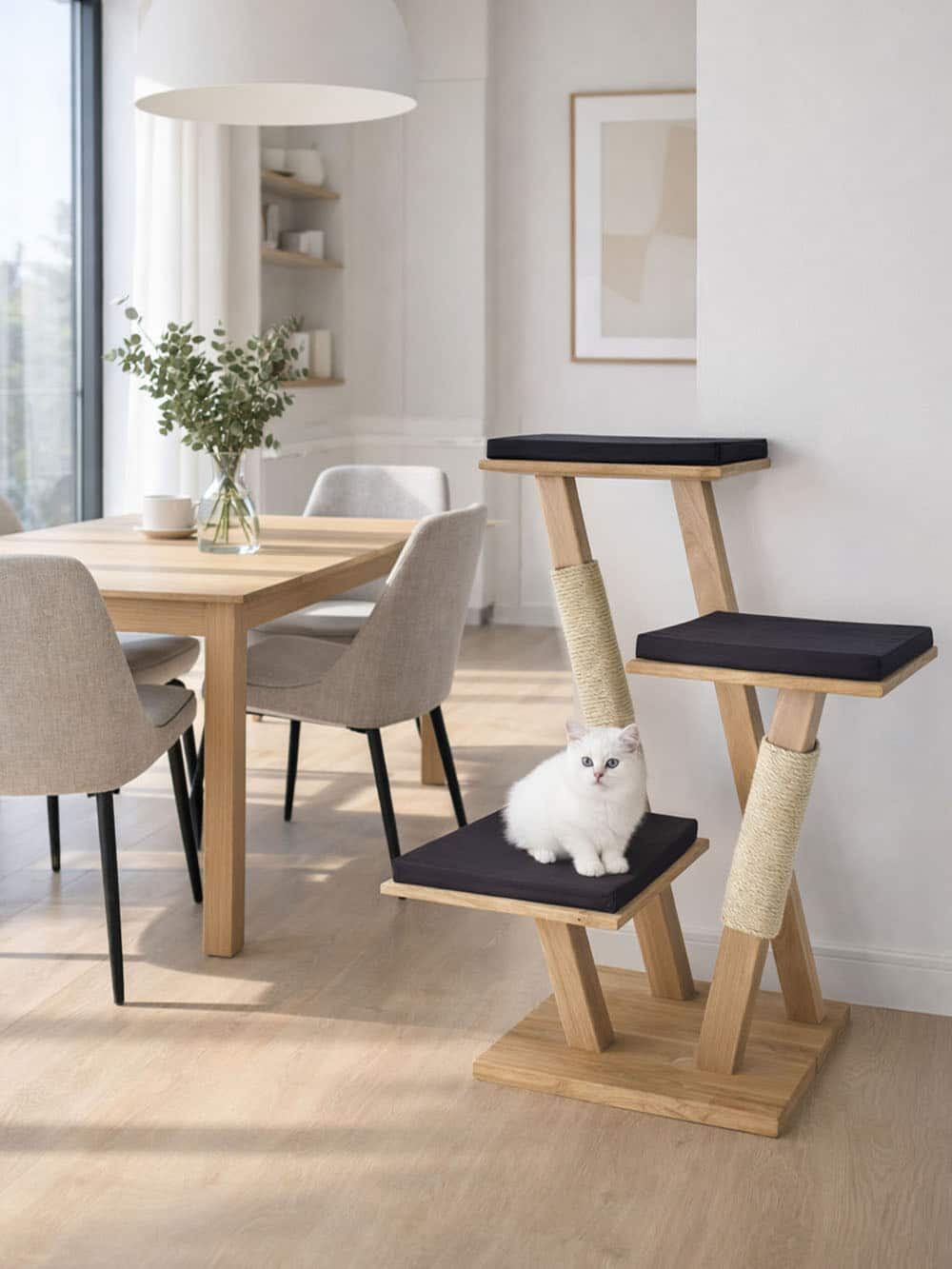 chat-perch-amaryllis-arbre-chat-bas-chat-g image 4