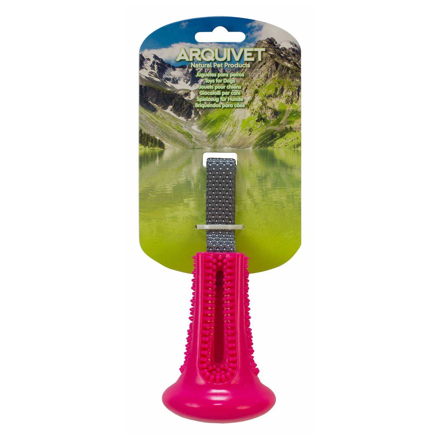 arquivet-brosse-dents-jouet-chien-avec-poign-e-tirer image 2