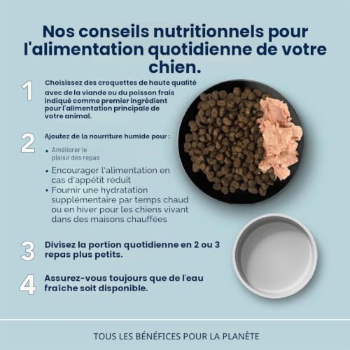 almo-nature-holistic-adult-croquettes-chien-boeuf-12-kg image 7