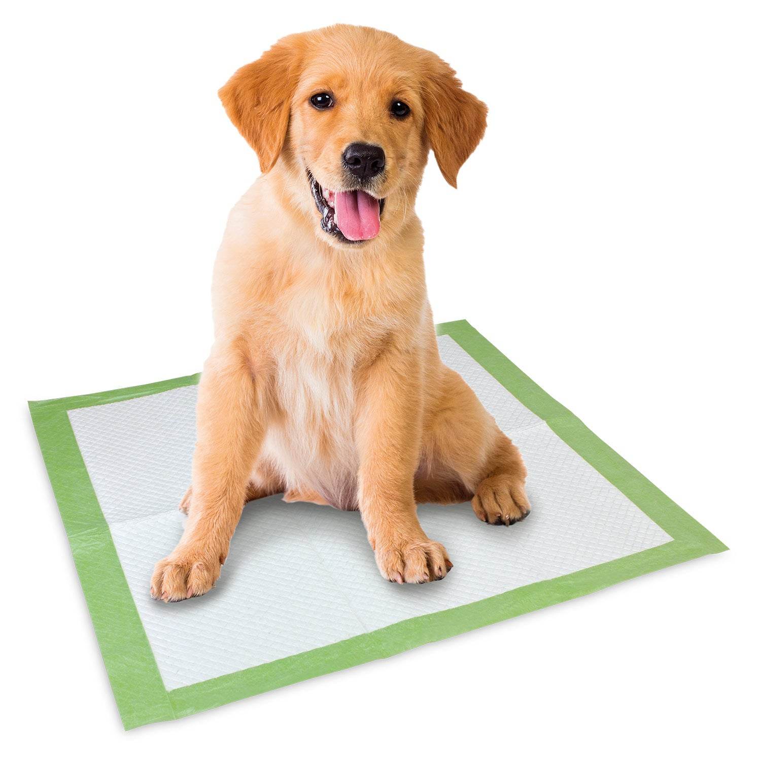 arquivet-tapis-hygi-nique-chien-biod-gradable-57x54-cm image 2