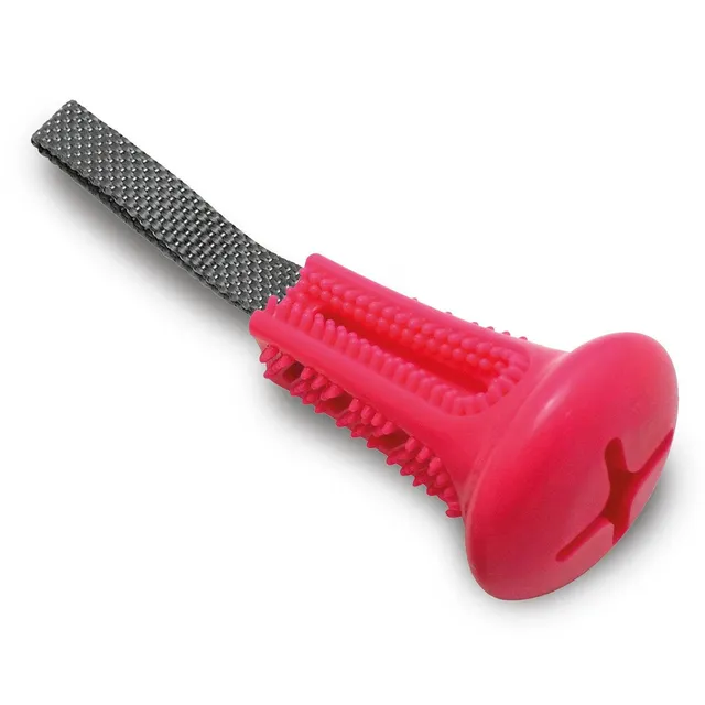 arquivet-brosse-dents-jouet-chien-avec-poign-e-tirer image 1